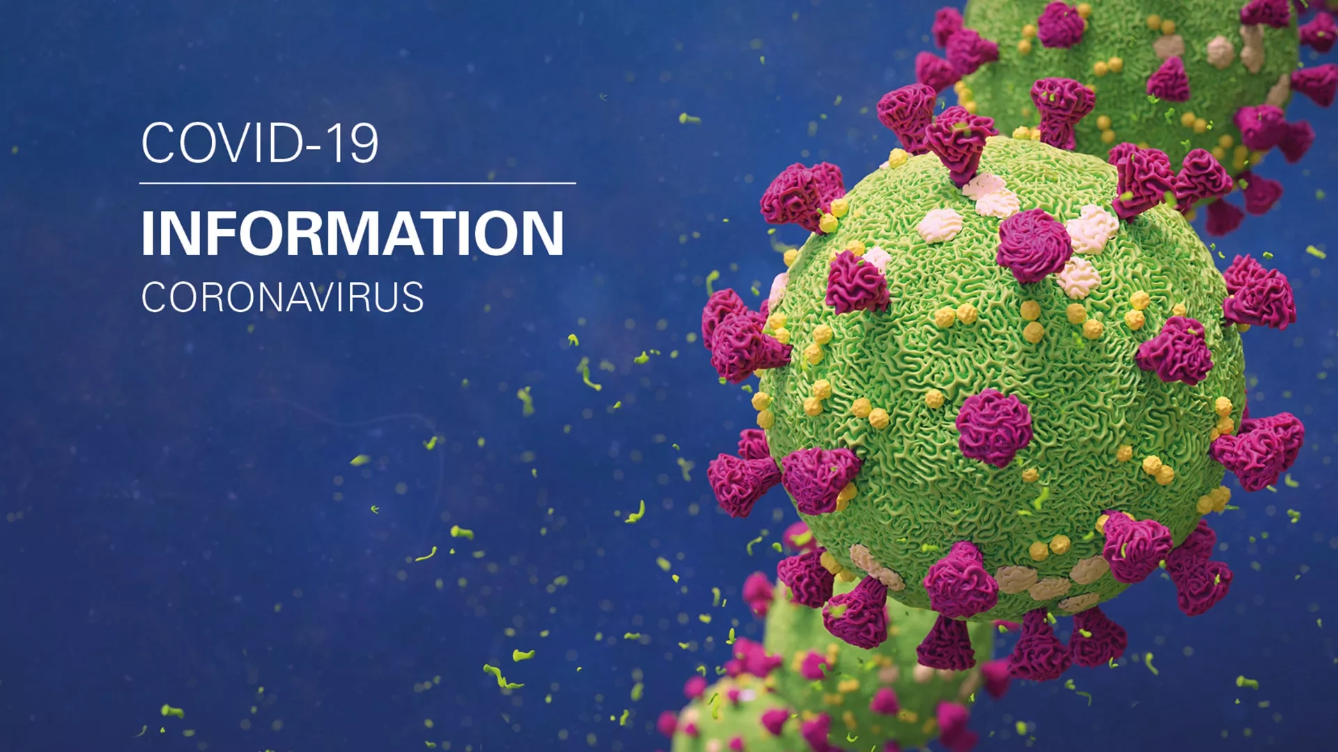 Information zu COVID-19