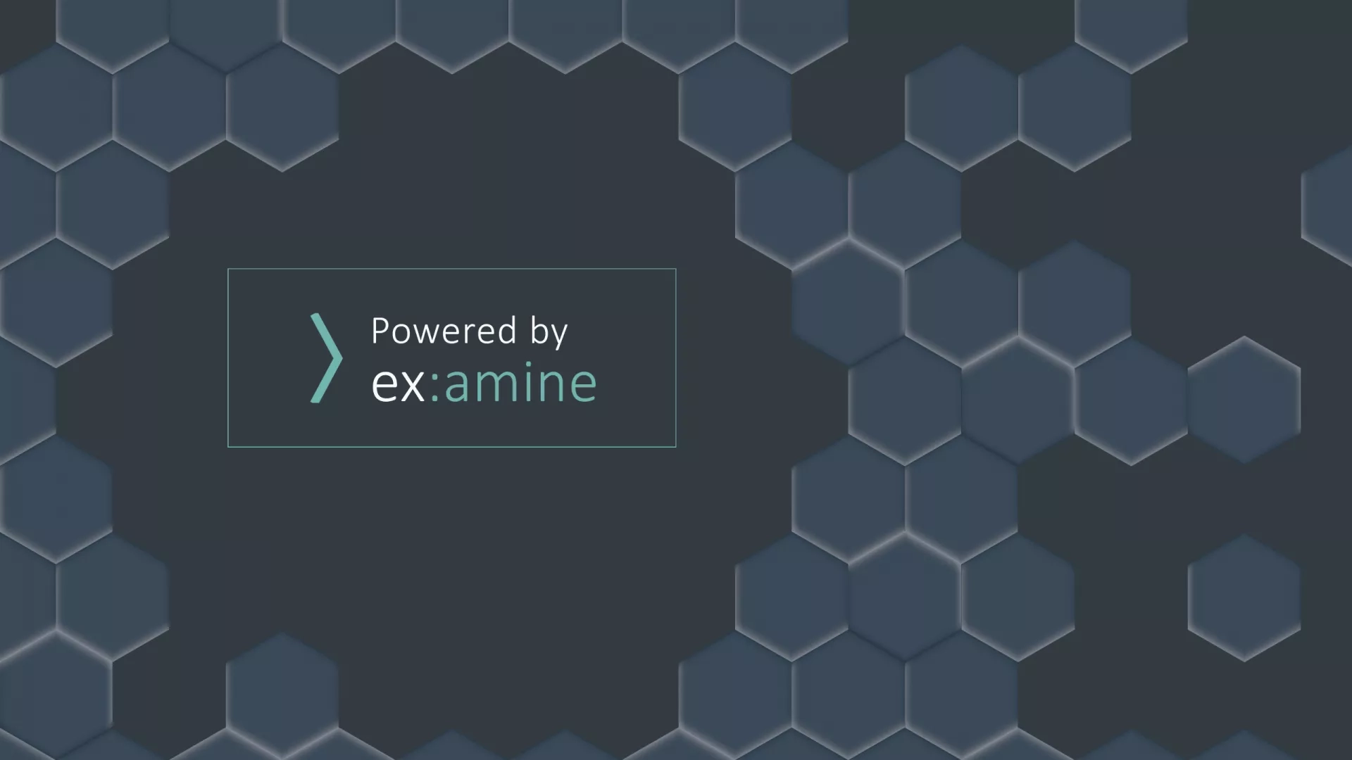 EXCON ex:amine Software for Orchestrating Asset Risks