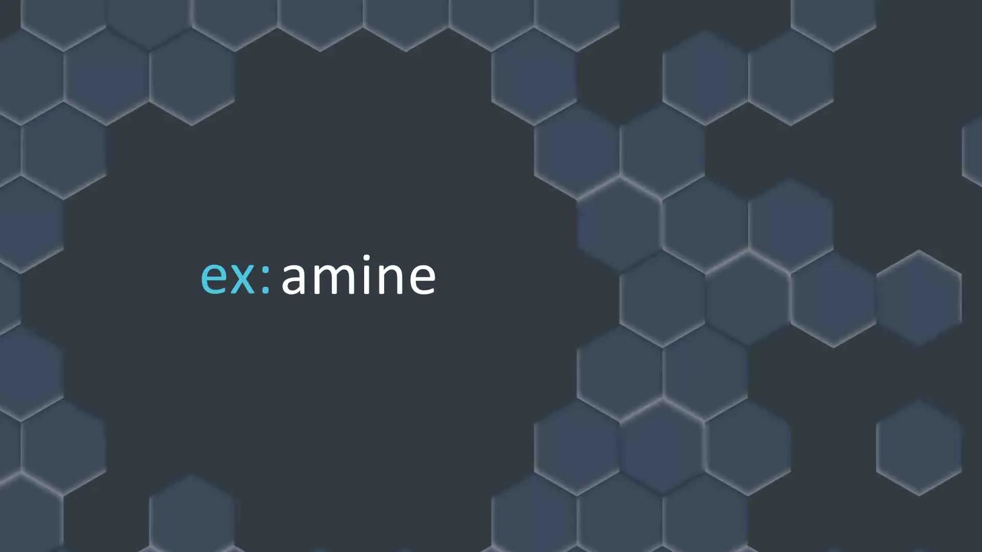 ex:amine Risk Platform