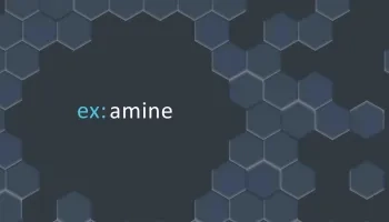 ex:amine Risk Platform